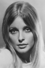 Sharon Tate Film ve Dizileri