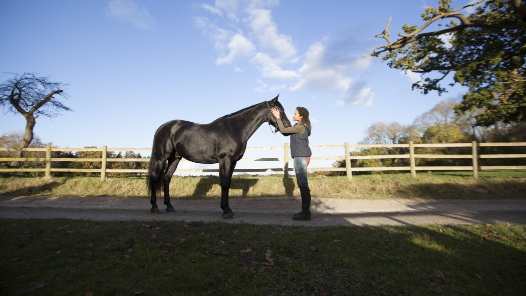 Kendini Özgür Bırak 3. Sezon 4. Bölüm izle