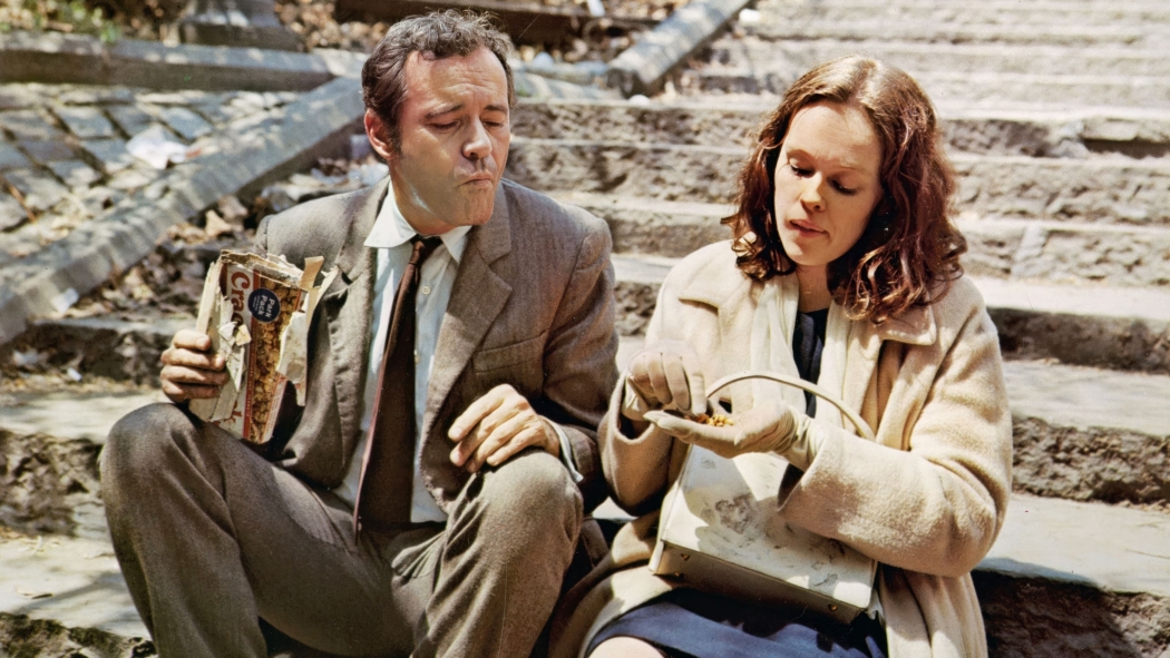 iki taşralı (1970) izle