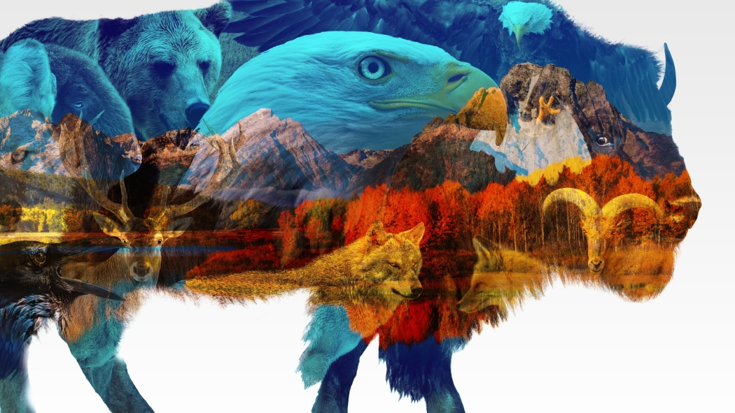 Vahşi Amerika 1. Sezon 5. Bölüm izle